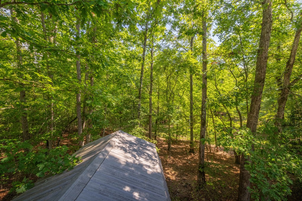 418467 Morganton Residential