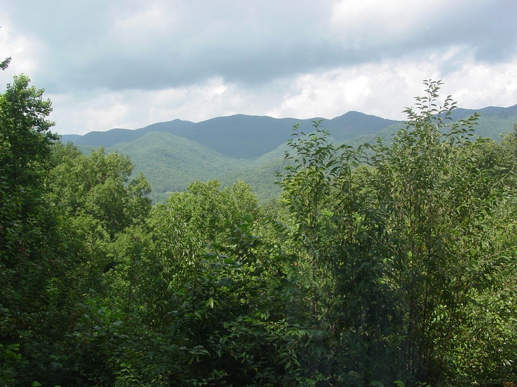 418589 Hiawassee Residential