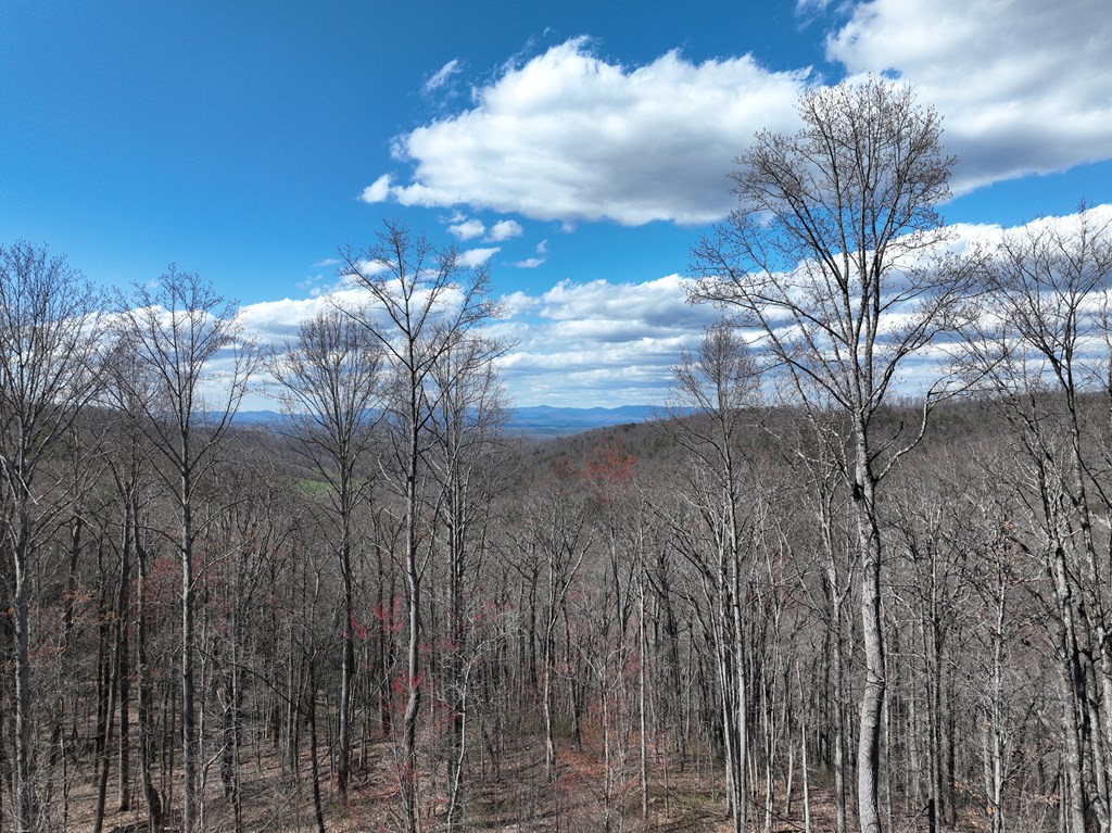 418624 Ellijay Residential