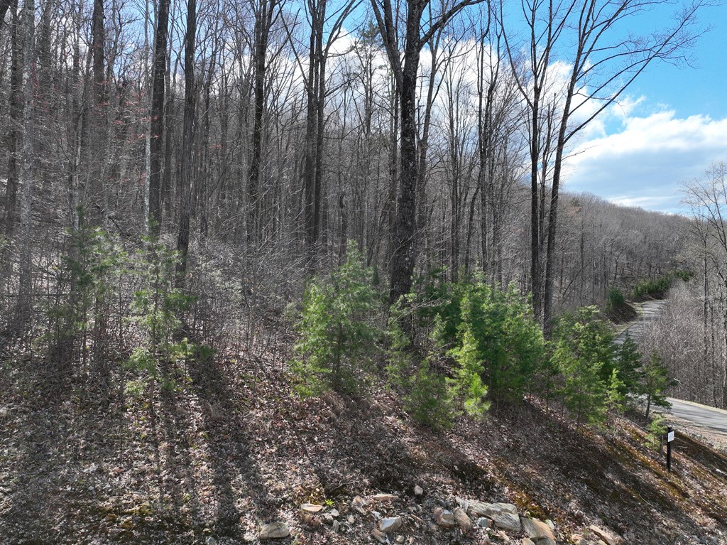 418624 Ellijay Residential