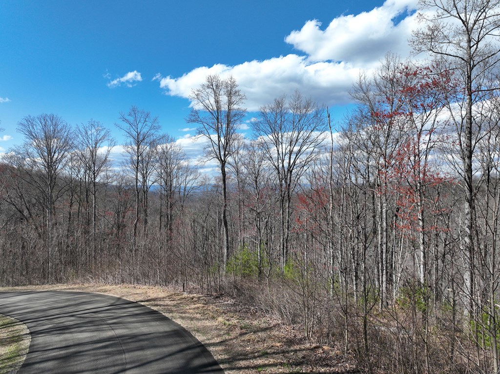 418624 Ellijay Residential