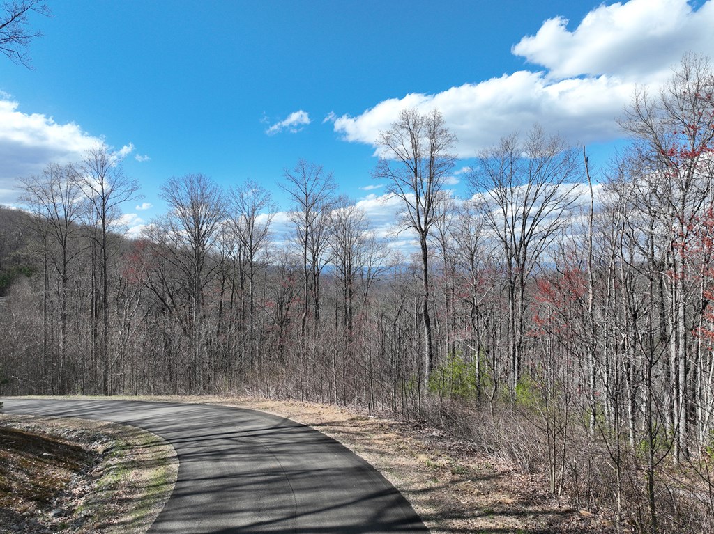 418624 Ellijay Residential
