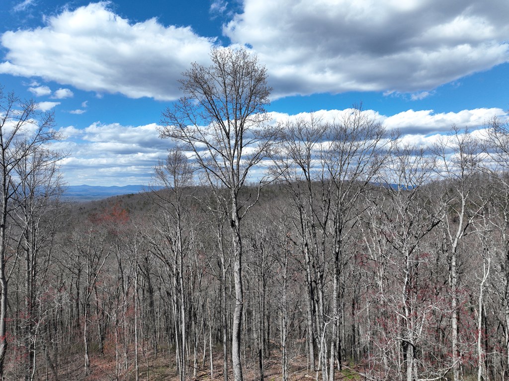 418624 Ellijay Residential