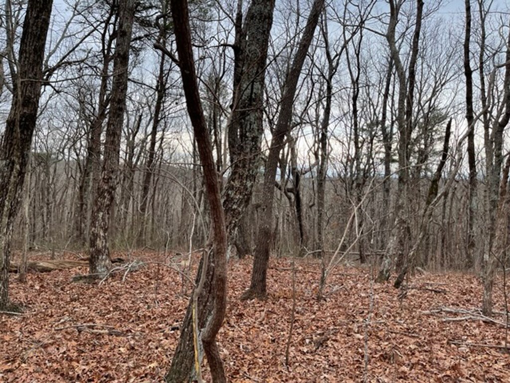 418629 Ellijay Residential