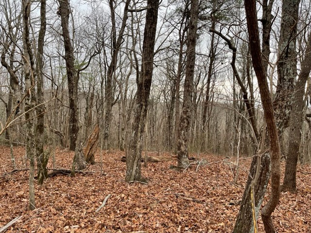 418629 Ellijay Residential