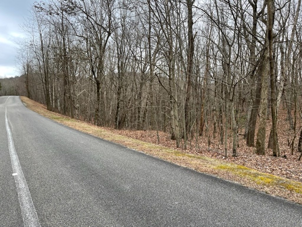 418629 Ellijay Residential