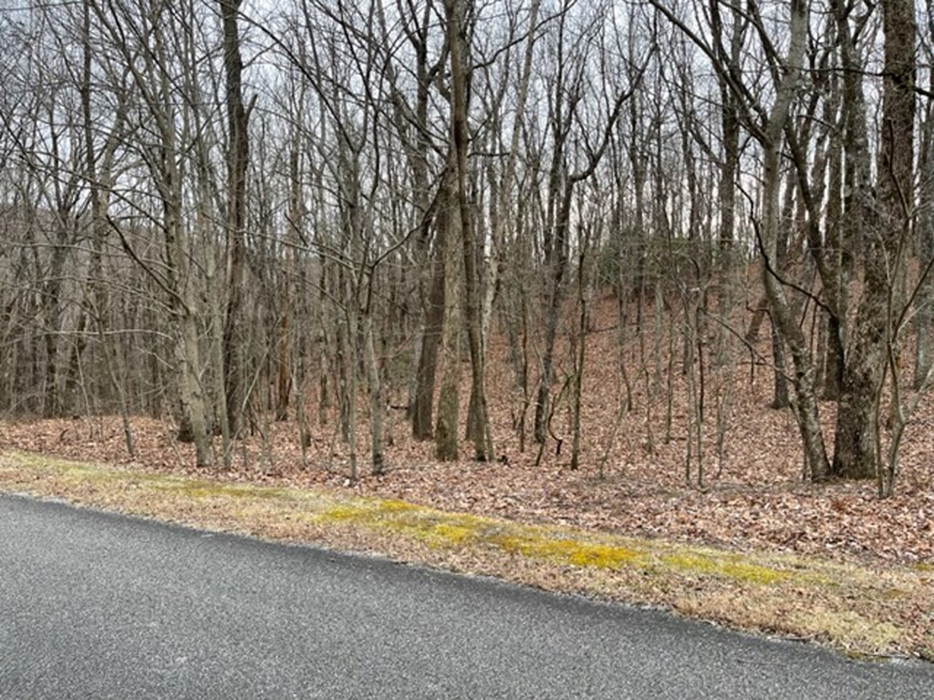 418629 Ellijay Residential