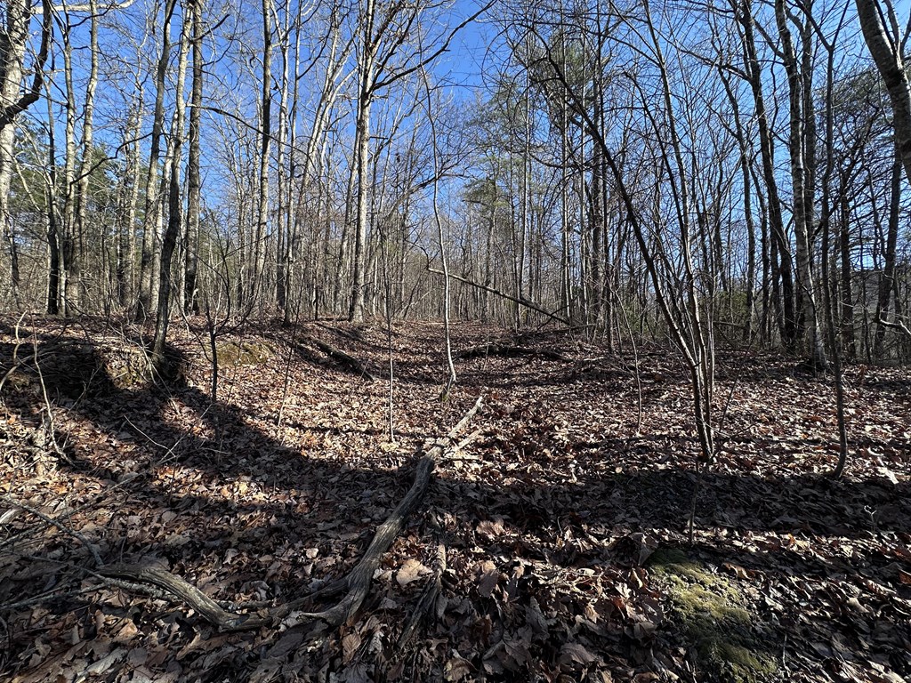 418631 Ellijay Residential