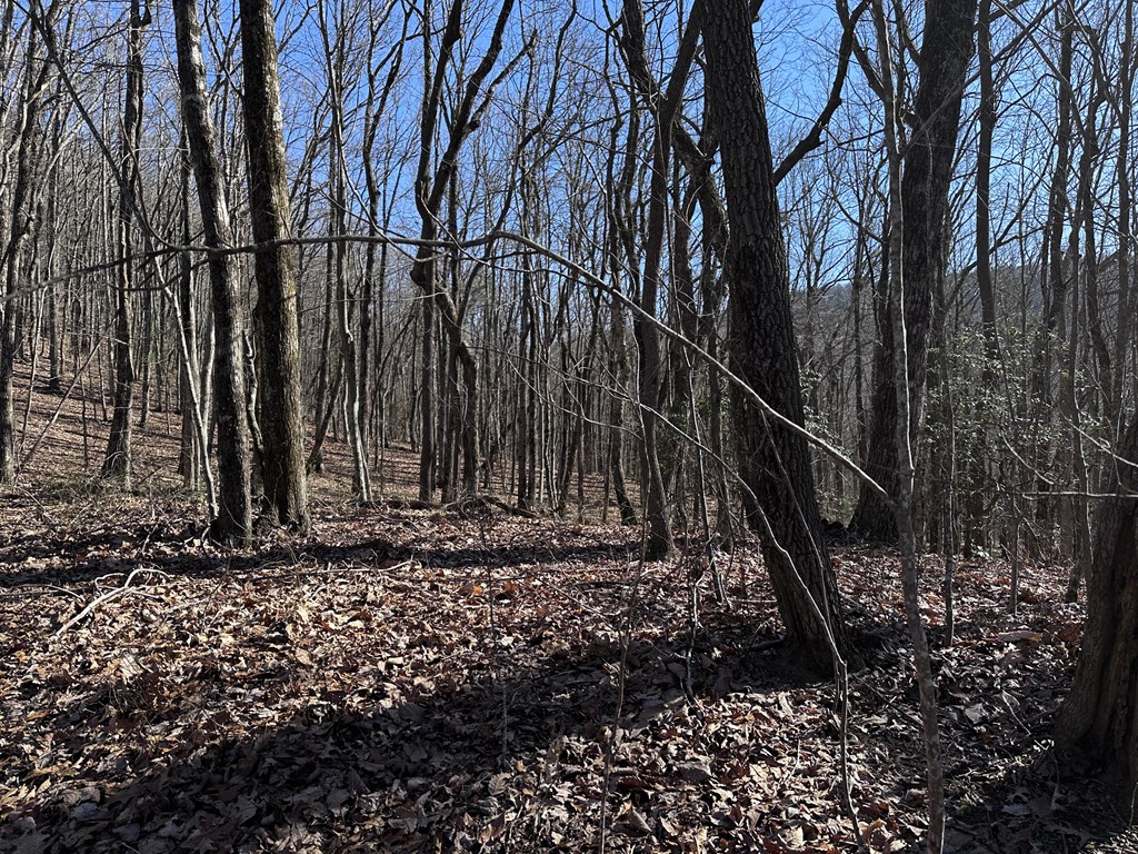 418631 Ellijay Residential