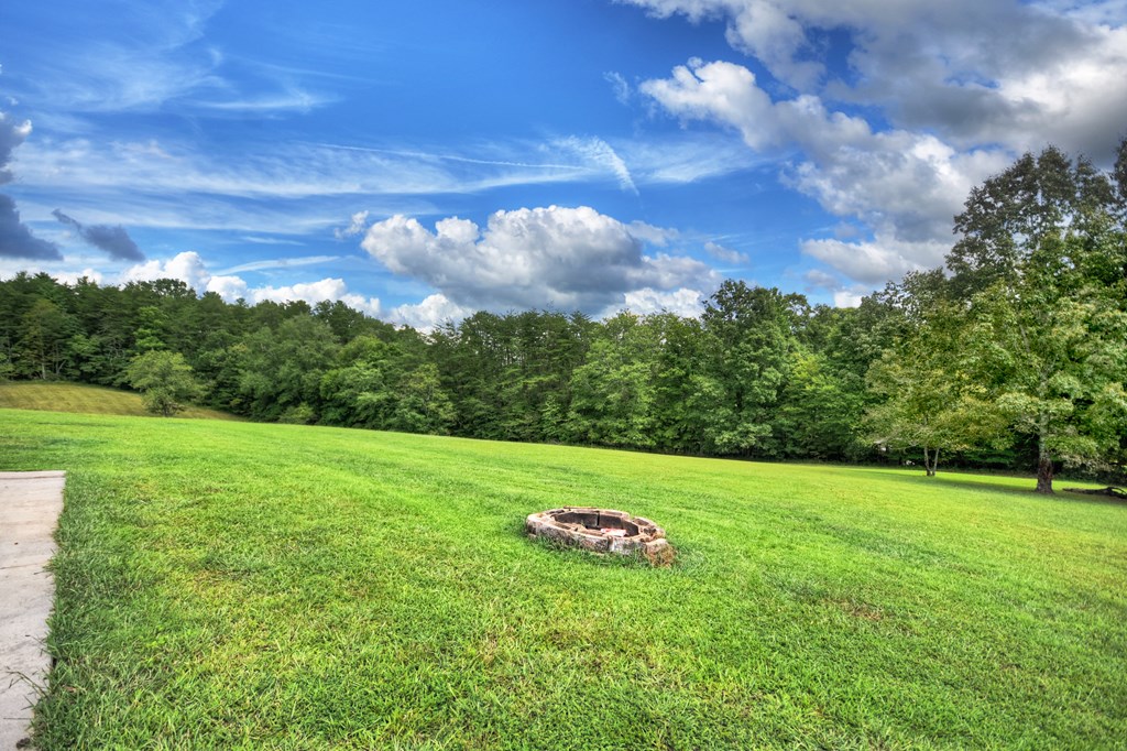 418639 Mineral Bluff Residential