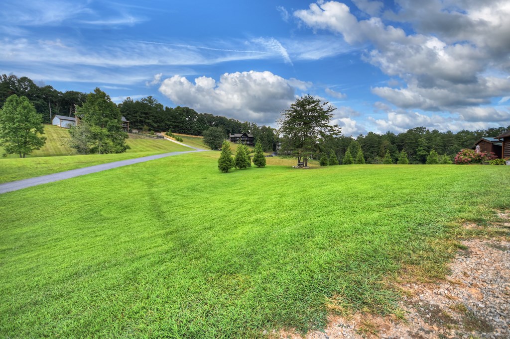 418639 Mineral Bluff Residential