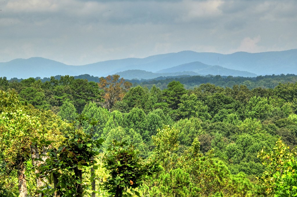 418657 Ellijay Residential
