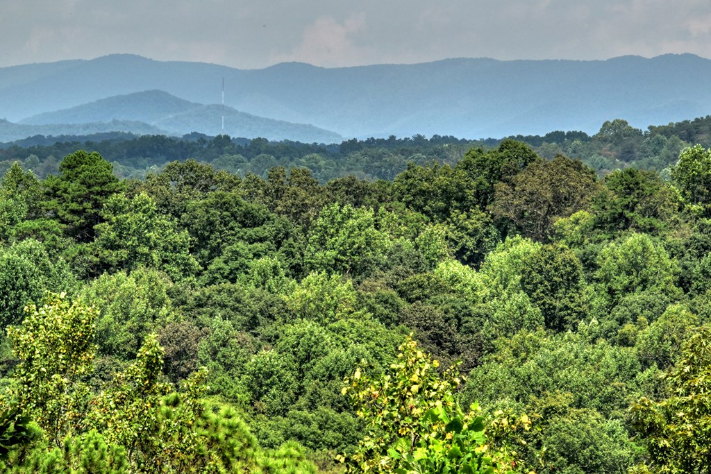 418657 Ellijay Residential