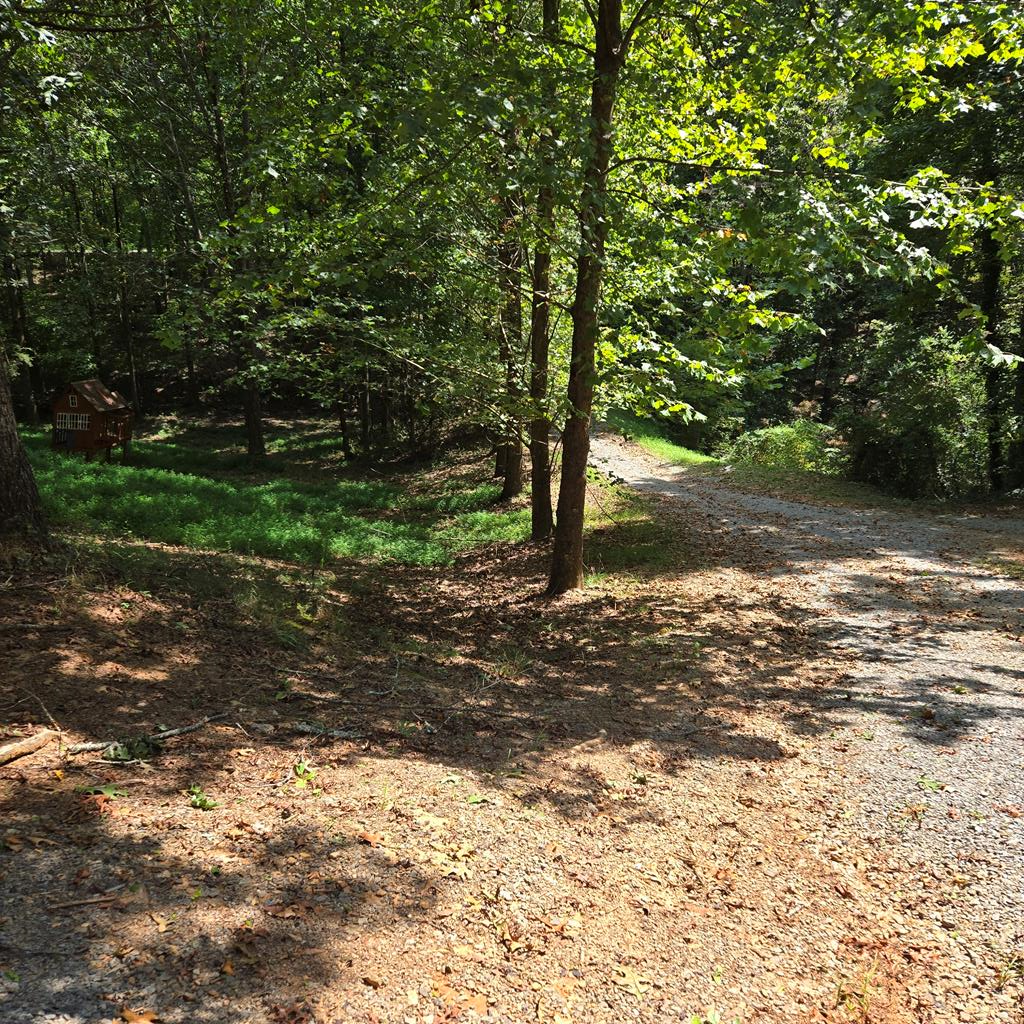 418672 Ellijay Residential
