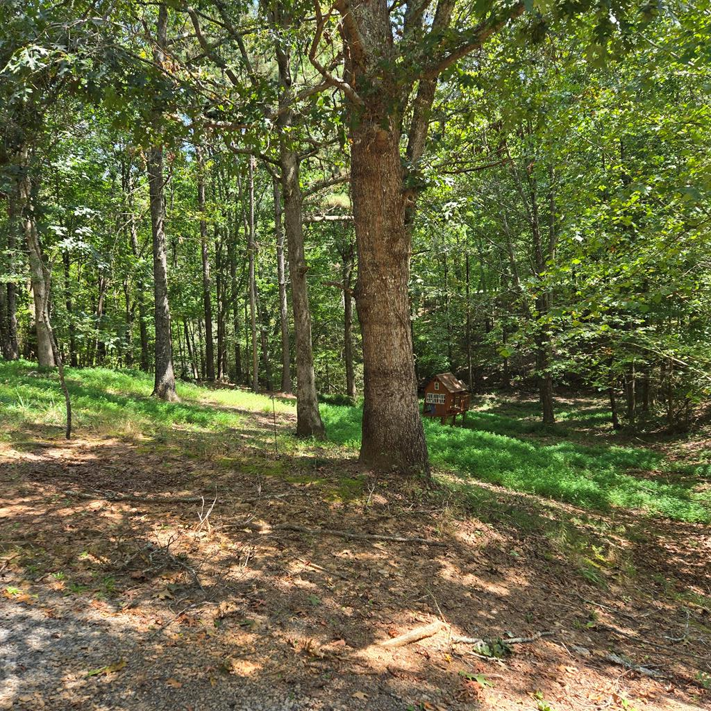418672 Ellijay Residential