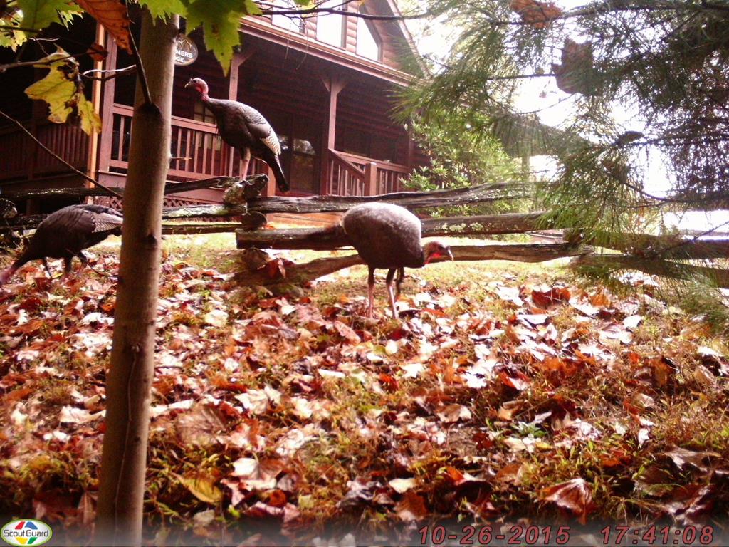 418703 Morganton Residential