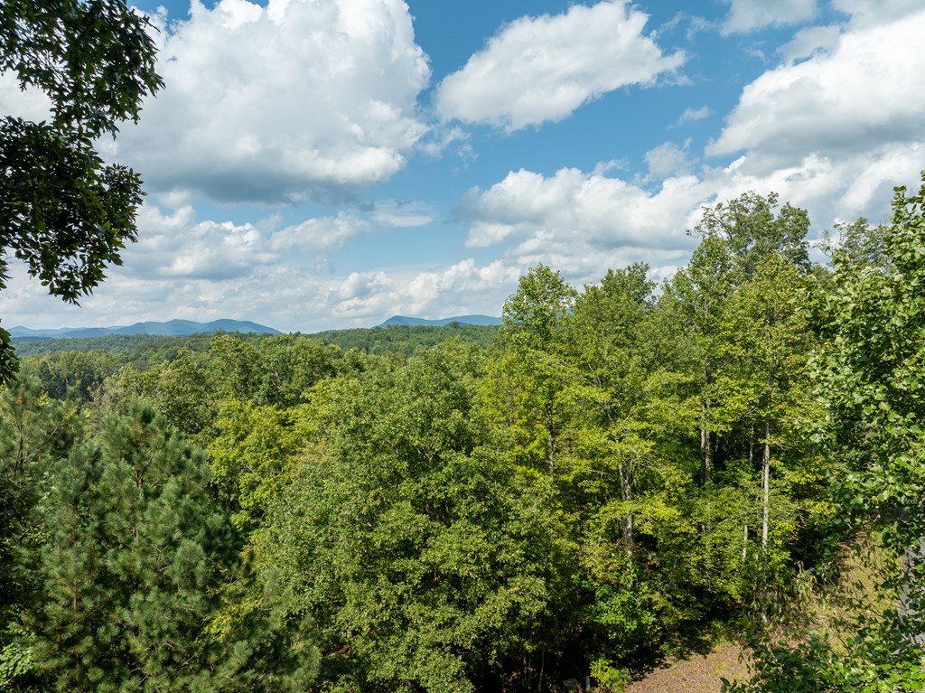 418717 Blairsville Residential