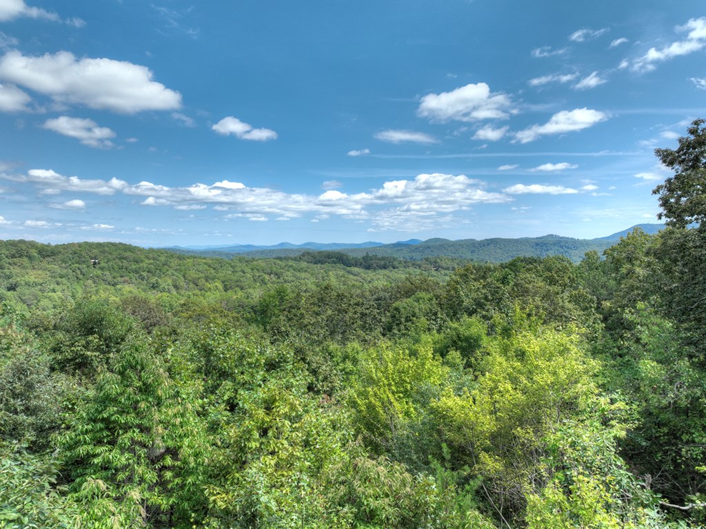 418721 Blue Ridge Residential