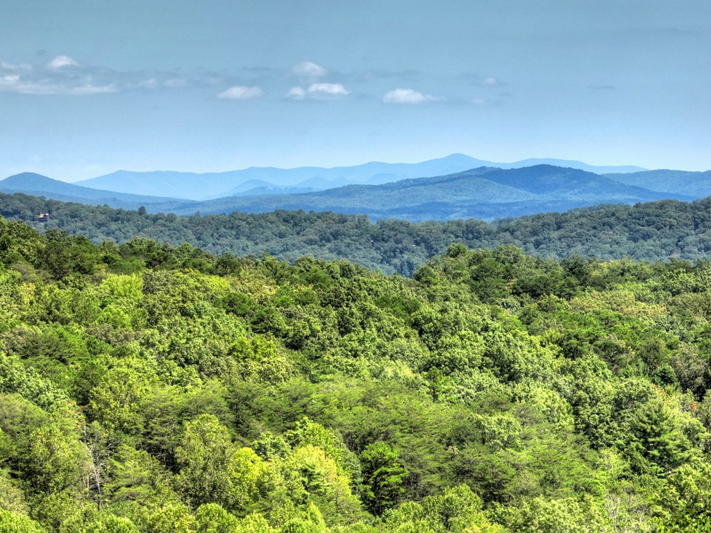 418721 Blue Ridge Residential