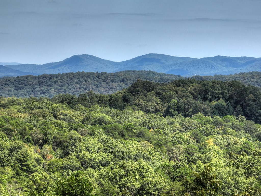 418721 Blue Ridge Residential
