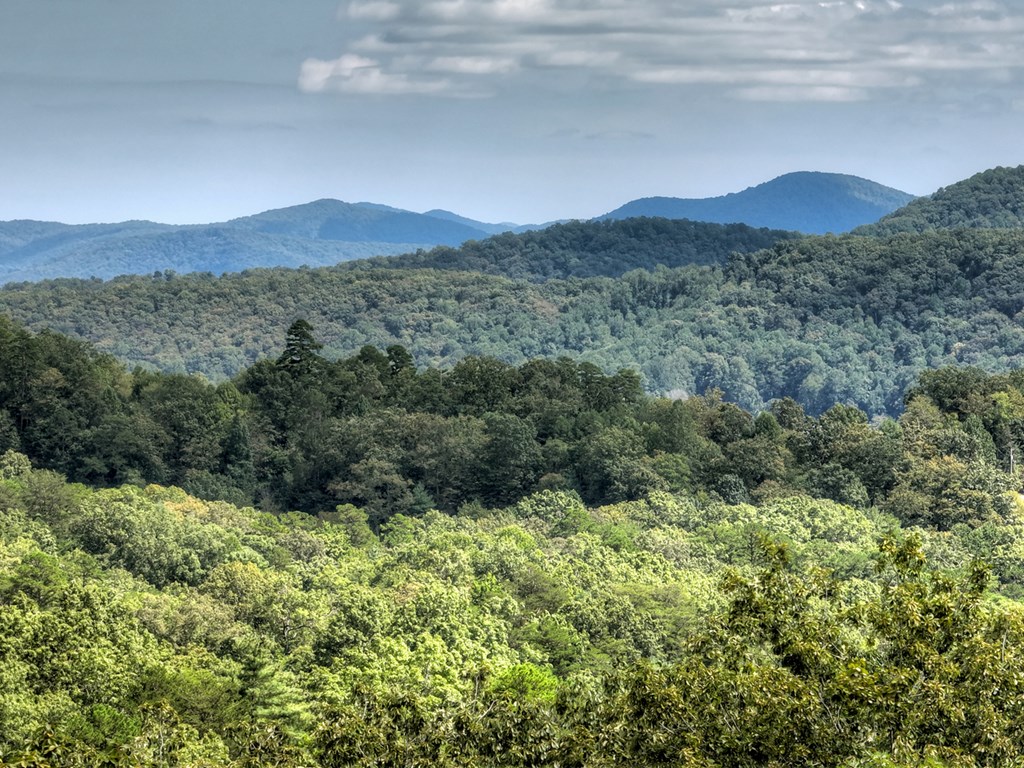 418721 Blue Ridge Residential