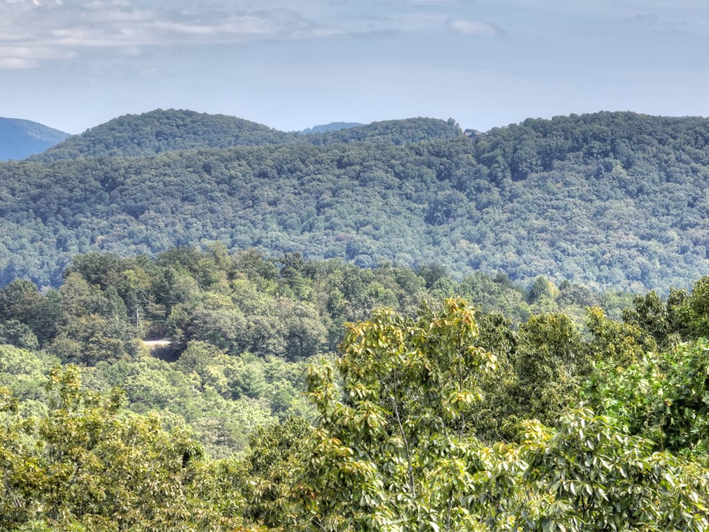 418721 Blue Ridge Residential