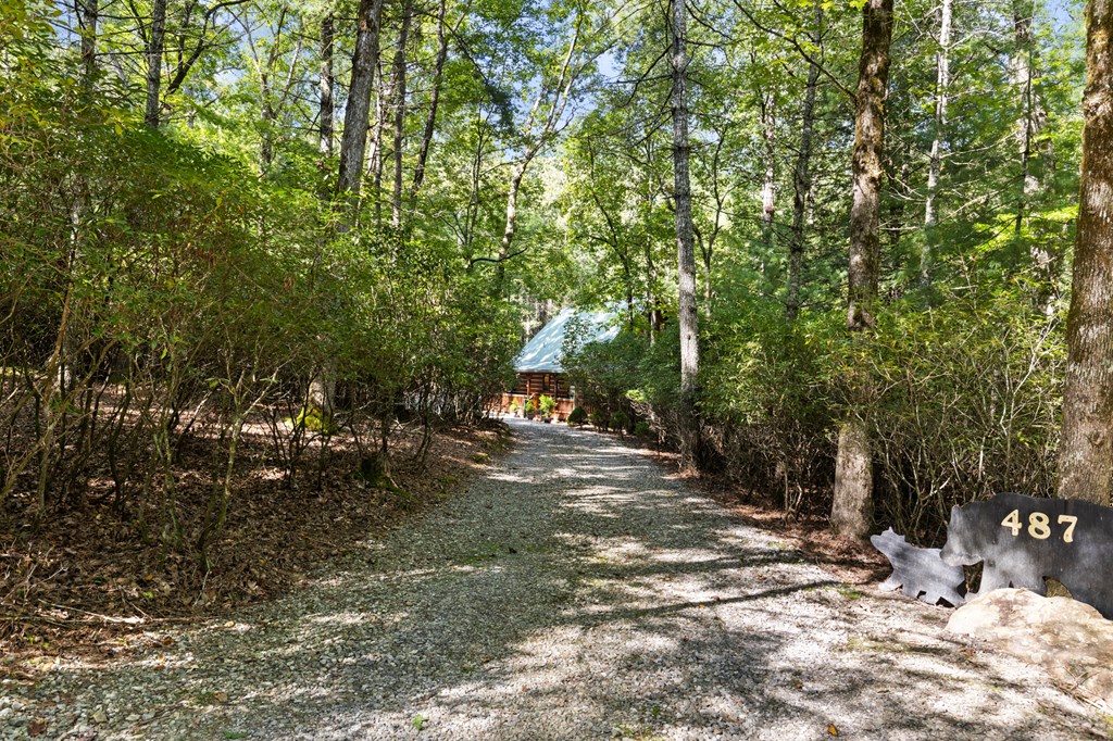 418728 Suches Residential