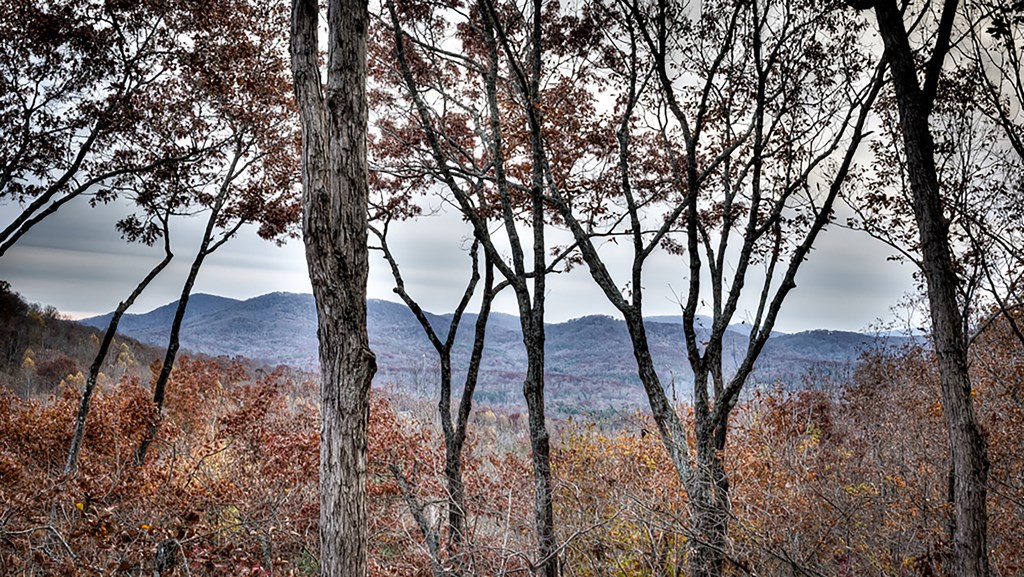 418756 Morganton Residential