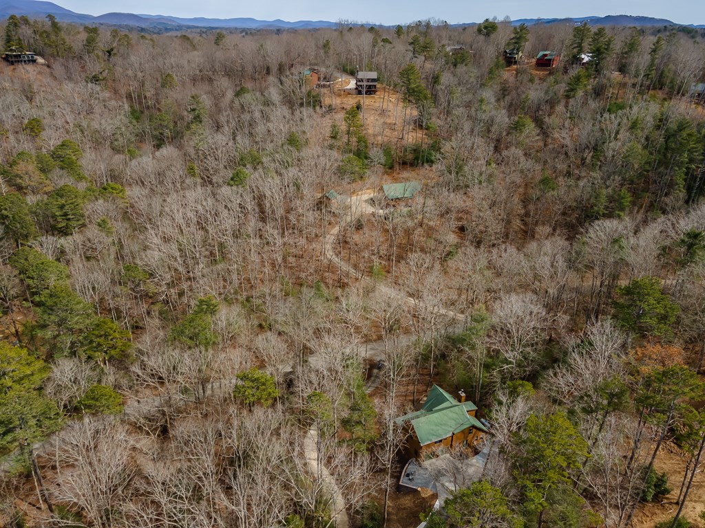 418764 Ellijay Residential