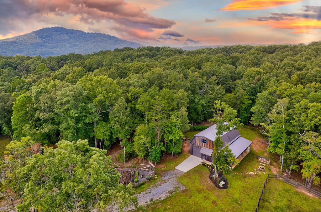 418776 Mineral Bluff Residential