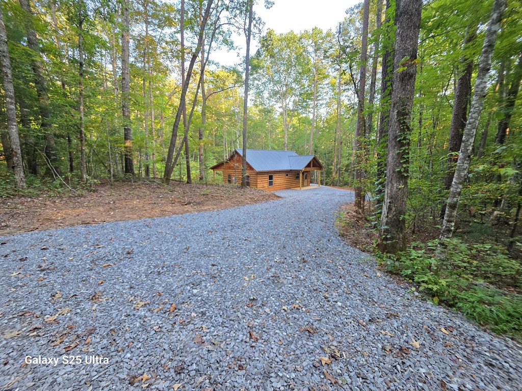 418789 Mineral Bluff Residential