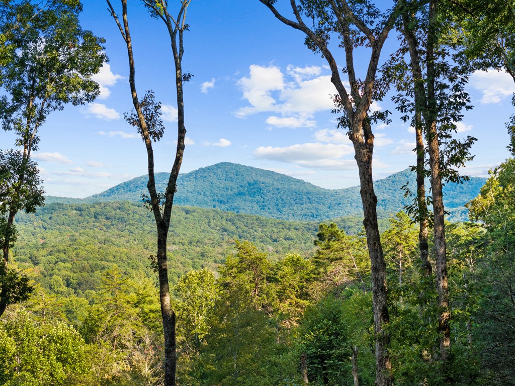 418809 Blue Ridge Residential