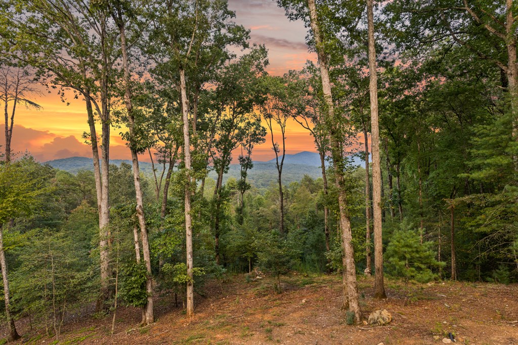 418809 Blue Ridge Residential