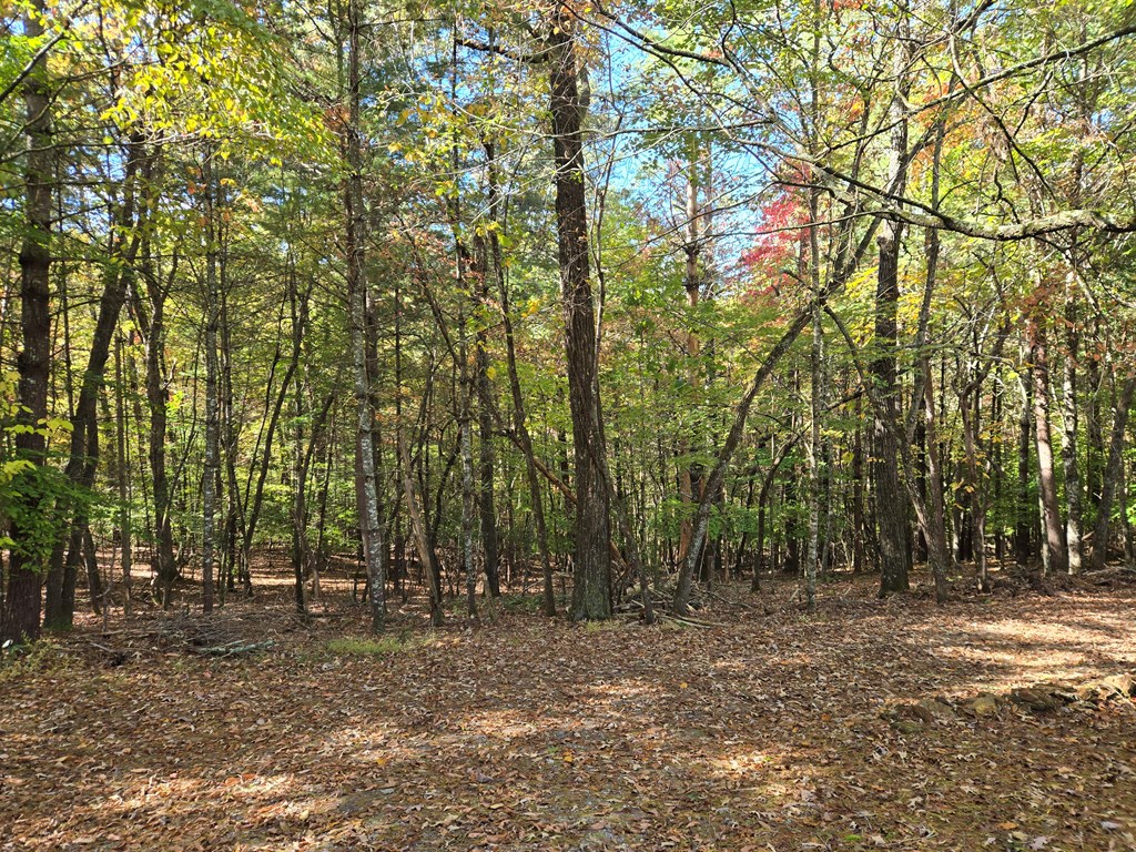 418841 Murphy Residential