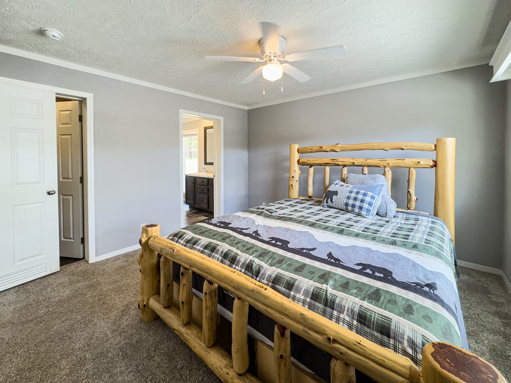 418859 Warne Residential