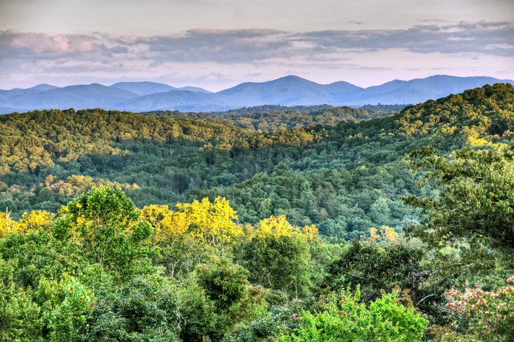 418862 Blue Ridge Residential