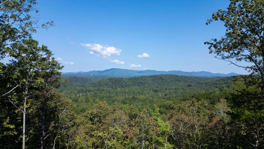 418879 Ellijay Residential