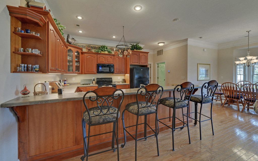 418970 Young Harris Condominium
