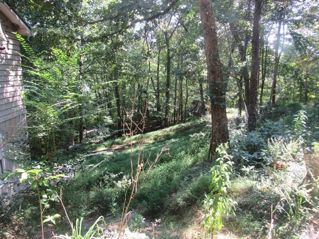 419035 Brasstown Residential