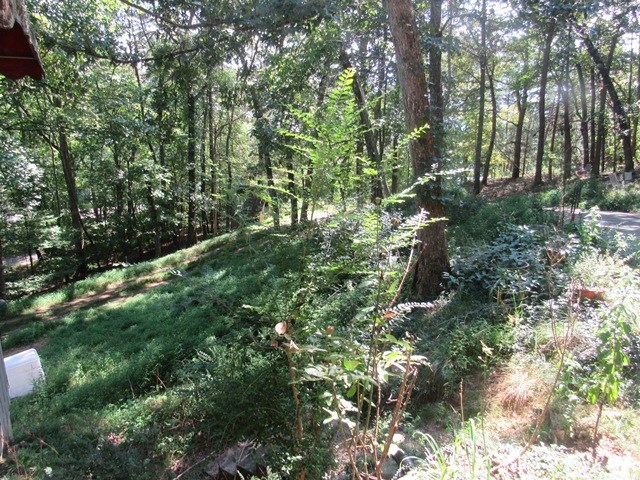 419035 Brasstown Residential