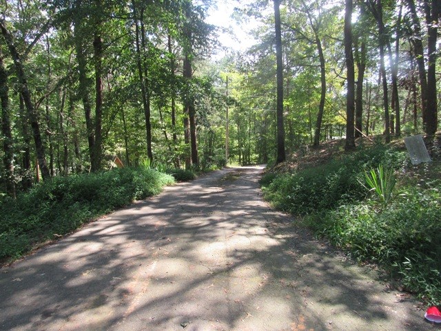 419035 Brasstown Residential