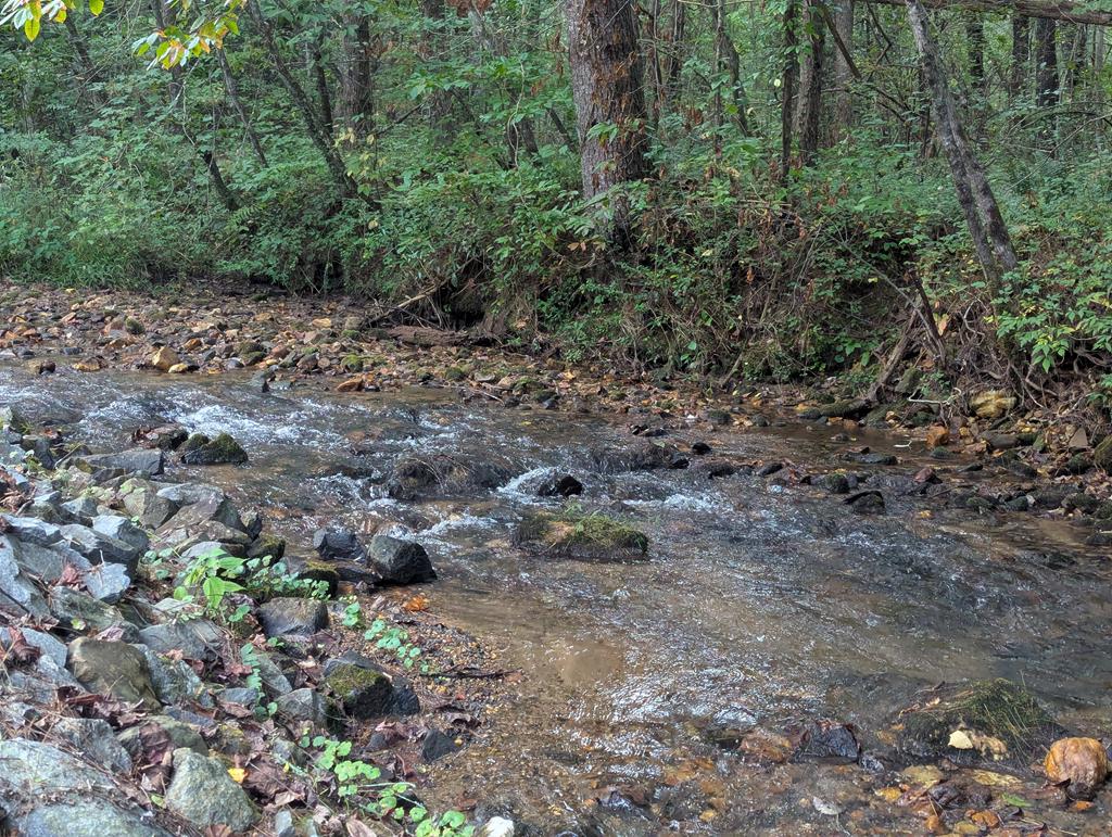 419046 Ellijay Residential