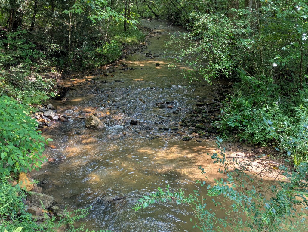 419046 Ellijay Residential