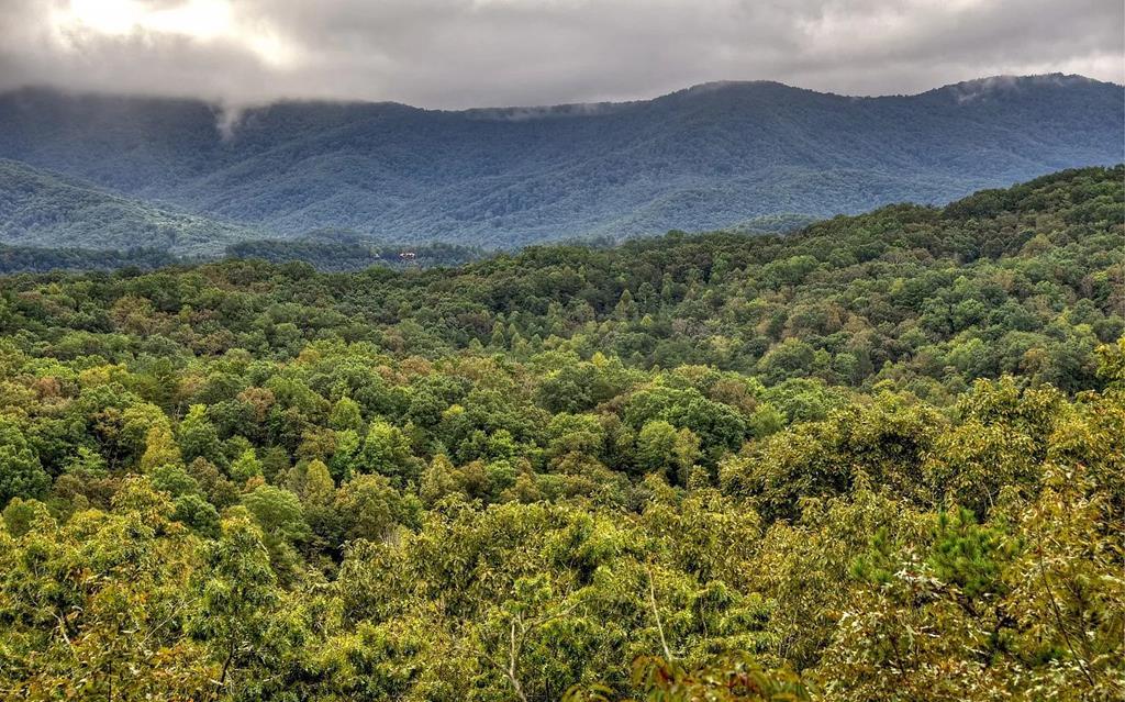 419062 Cherry Log Residential