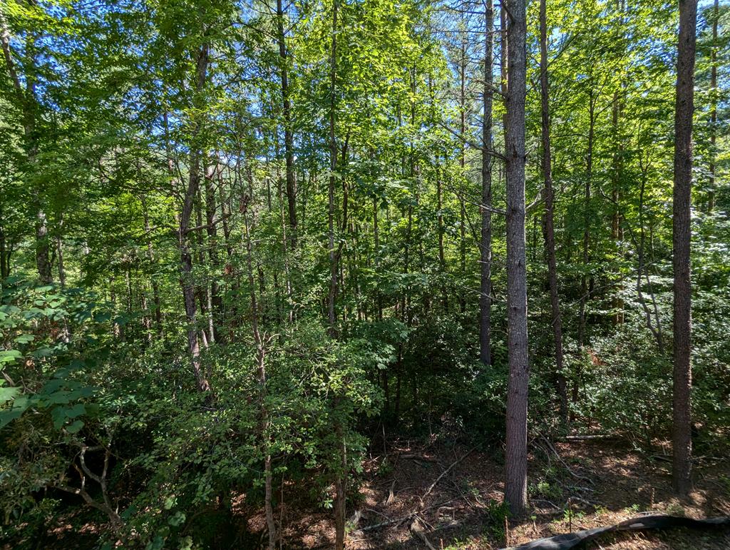 419072 Ellijay Residential