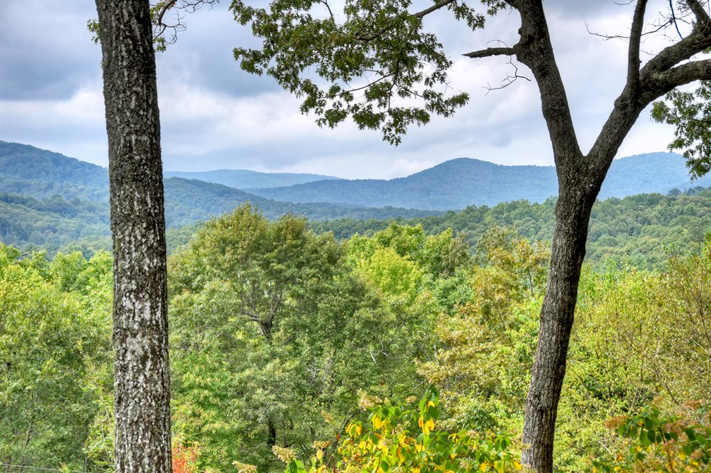 419120 Blue Ridge Residential