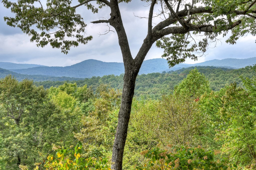 419120 Blue Ridge Residential