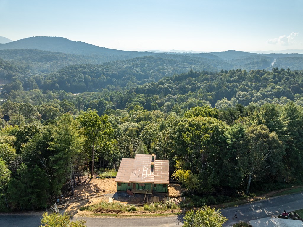 419125 Ellijay Residential