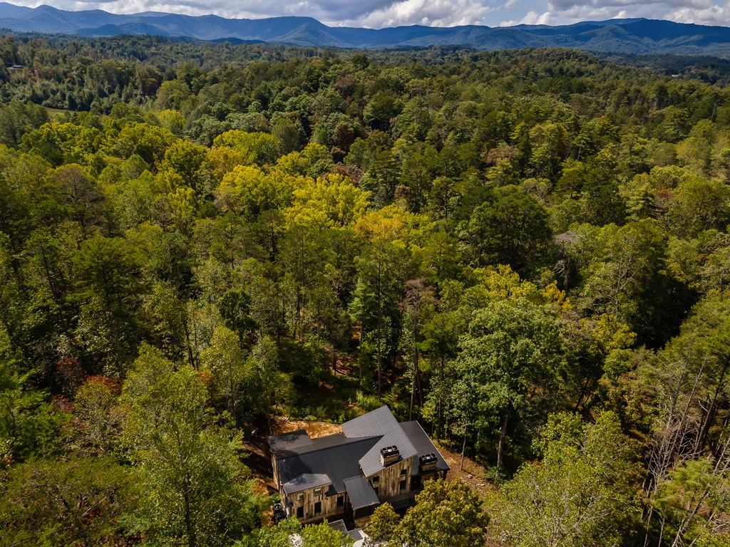 419191 Blue Ridge Residential