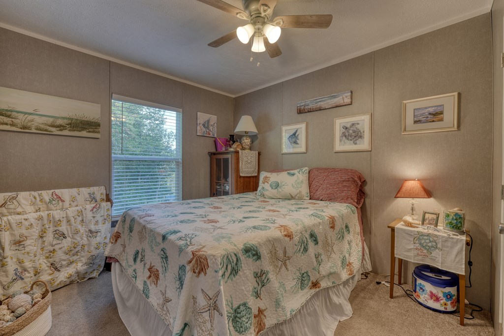 419204 Young Harris Residential